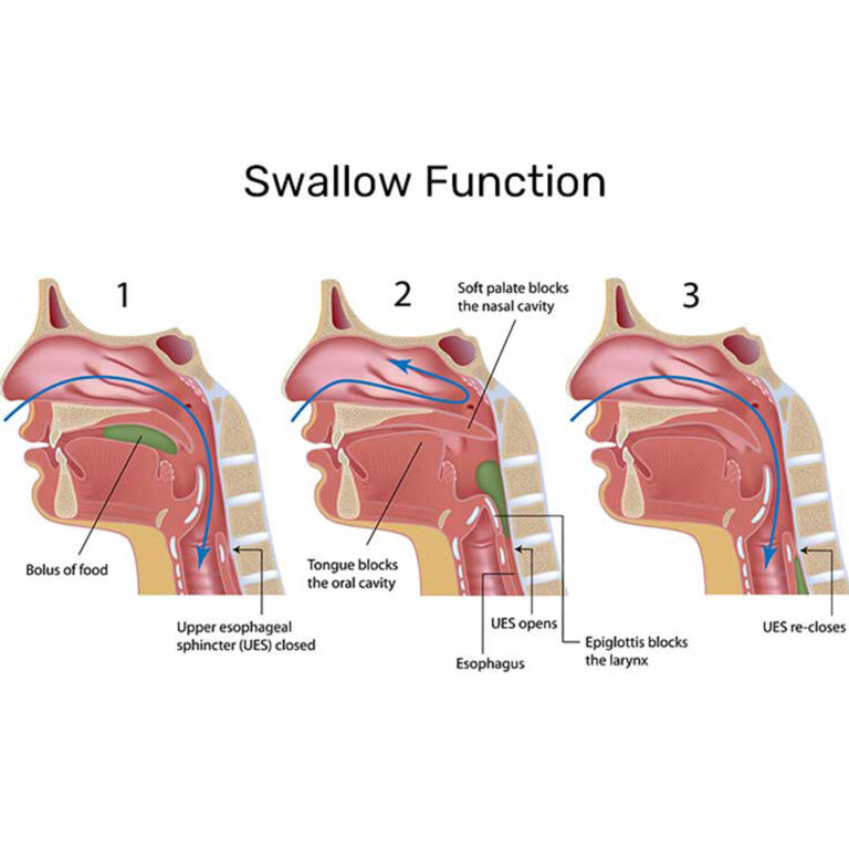 Swallow Function
